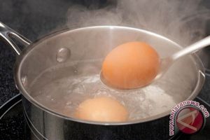 GoRiau Waspada, Jangan Terjadi Seperti Ini, Gara-gara Makan Telur Ayam yang Gagal Ditetaskan, 1 Keluarga Keracunan, 1 Tewas