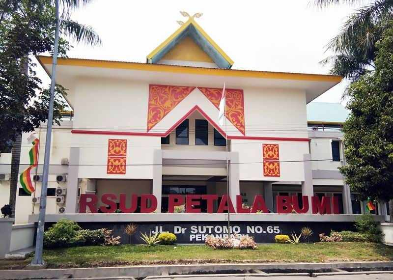 Dinkes Riau Dorong RS Petala Bumi Naik Status Jadi Tipe B