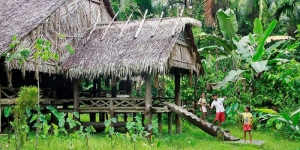 GoRiau Wajah Asli Mentawai Kian Punah, Sagu dan Talas Pun Makin Dilupakan
