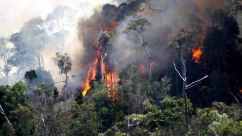 Selama Januari-Mei, 1870,96 Hektare Lahan di Riau Hangus, Kepulauan Meranti Paling Luas Terbakar
