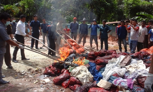 650 Karung Bawang Merah Ilegal Dibakar