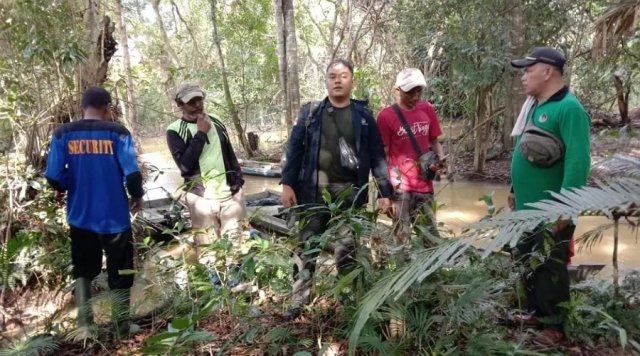 Tim BBKSDA bersama Masyarakat Giring Gajah Perusak Kebun Sawit di Rantau Baru ke Habitatnya