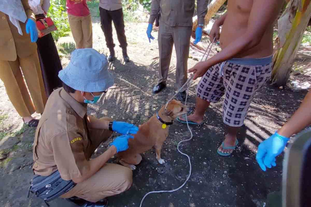 Riau Salurkan 5.550 Vial Vaksin Anti-Rabies ke 12 Kabupaten/Kota
