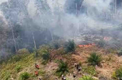 GoRiau Hotspot di Riau Menurun, Terpantau 16 Titik Menjelang Akhir Juli
