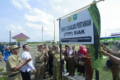 BPTP Riau dan Pemkab Siak Soft Lounching Taman Teknologi Pertanian di Muara Kelantan