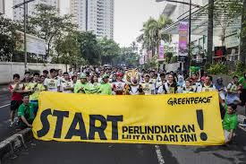 KLHK Ampuni 73 Perusahaan Sawit dan Tambang yang Beroperasi Dalam Kawasan Hutan, Greenpeace: Memperkuat Oligarki