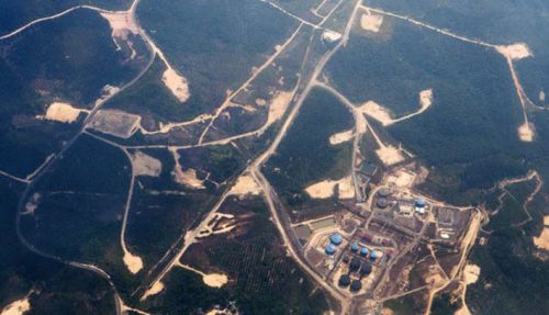 LSM Riau Duga Gubernur Riau Annas Maamun Terkait Kasus Lahan 1,6 Juta Ha