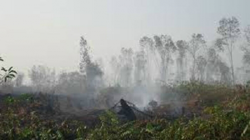 Kebakaran Hutan Berpotensi Terjadi Hingga Akhir November