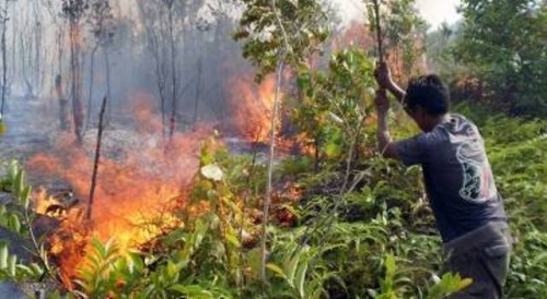 Jauh dari Pemukiman, Kebakaran Hutan Desa Mengkikip Sempat Luput dari Perhatian