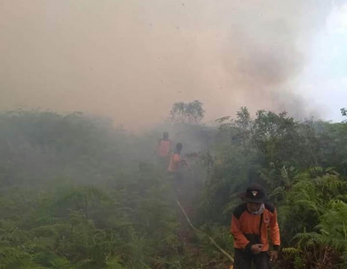 Kuala Cenaku Membara, Sejumlah Kecamatan di Inhu Mulai Diselimuti Kabut Asap