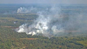 GoRiau Pagi Ini, 32 Titik Panas Terdeteksi di Riau