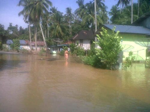 Puluhan Rumah di Desa Babussalam dan Pematang Berangan Juga Terendam Air