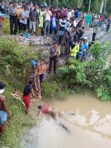 Ketahuan Maling Motor, Pria Inuman Ini Pilih Terjun ke Sungai Kuantan dan Ditemukan Tewas