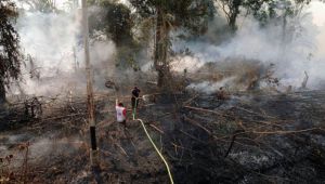 GoRiau Di-Backing Presiden Jokowi, Polri Janji Babat Pembakar Hutan