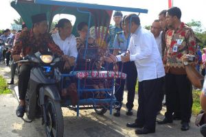 GoRiau Presiden Berencana Lanjutkan Moratorium Hutan Primer