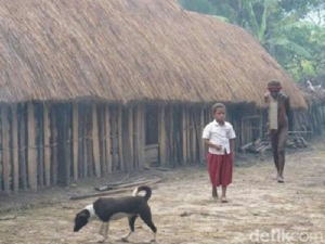 GoRiau 32 Balita Meninggal Misterius di Papua, Begini Gejalanya Sebelum Tewas