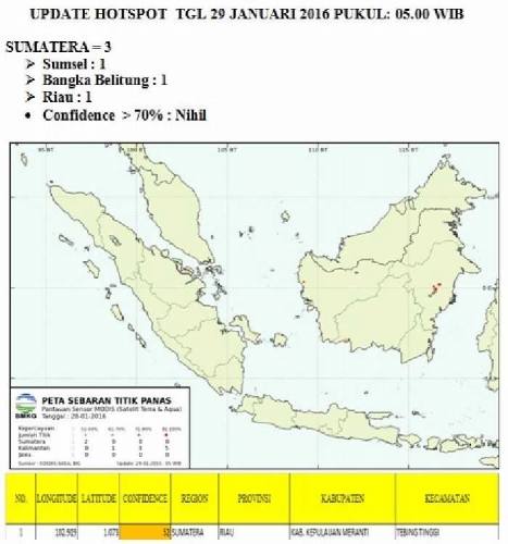 Satelit Deteksi Titik Panas di Sumatera, 3 Kawasan di Riau Diselimuti Kabut