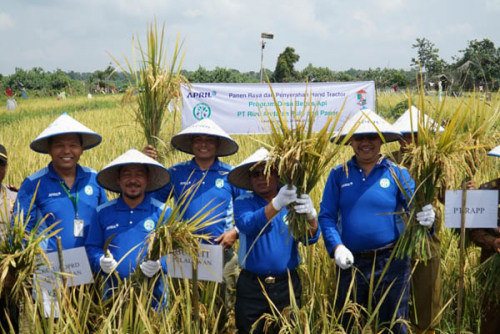 Didukung Program Desa Bebas Api PT RAPP, Desa Sungai Ara Panen Raya Perdana