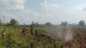 GoRiau Dua Hektare Lahan di Teluk Makmur Dumai Terbakar