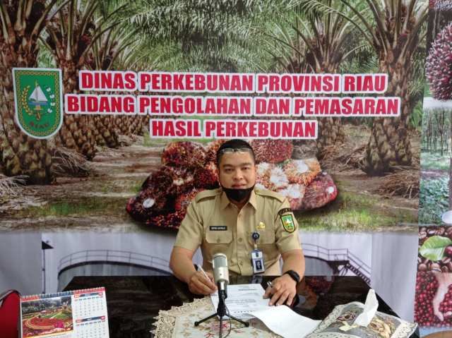 Periode 30 Juni hingga 6 Juli, Harga Kelapa Sawit di Riau Naik Jadi Rp2.084,29 per Kg