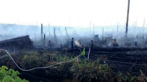 1.125 Ha Lahan Terbakar Berhasil Dipadamkan, 55 Ton Garam Ditabur di Langit Riau