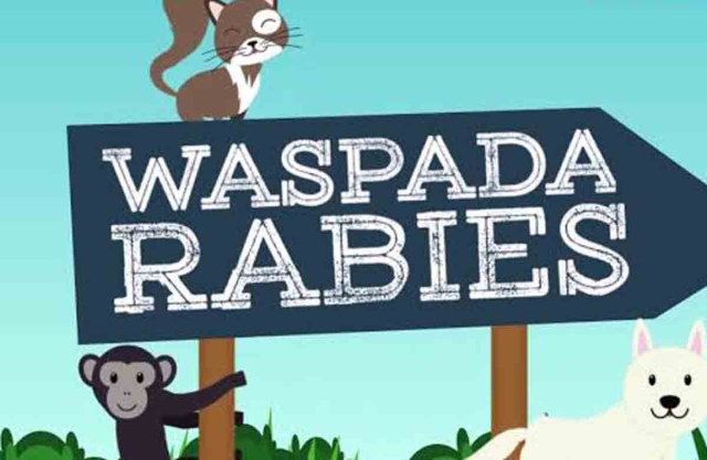 Pentingnya Vaksinasi Rabies bagi Hewan Peliharaan Anda