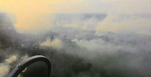 Kualitas Udara Duri Berbahaya, Berikut Kondisi ISPU Beberapa Daerah Lainnya di Riau