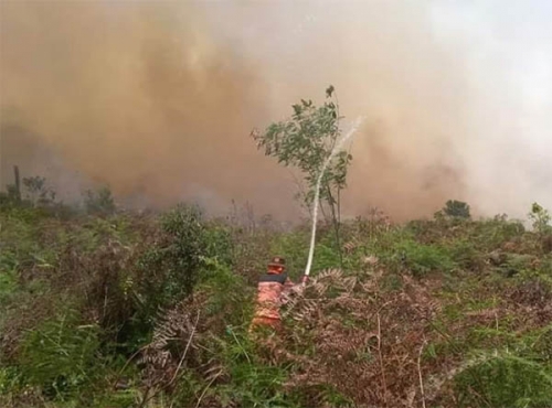 Debu Berterbangan, Inhu Terus Dikepung Asap, 4 Unit Helikopter BNPB Riau Bantu Pemadaman Kebakaran Lahan di Kuala Cenaku