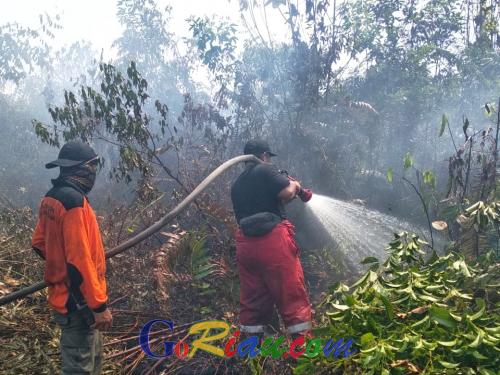 60 Personil Satpol PP Riau Masih Berjibaku Padamkan Api di Bukit Timah Dumai