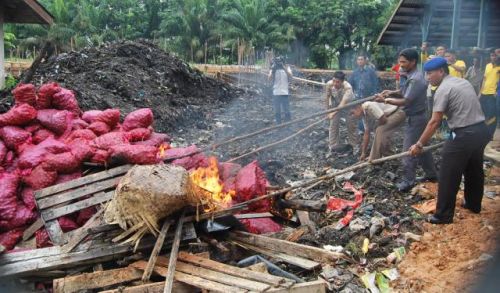 2.400 Karung Bawang Merah India Dimusnahkan