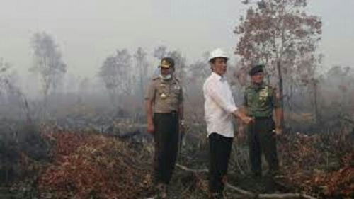 Pantau Pemadaman Kebakaran Hutan, Jokowi Berkantor di Ogan Komering Ilir Hingga Sabtu