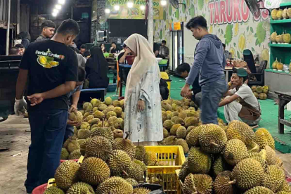 GoRiau Semarak Musim Durian di Pekanbaru, Surga bagi Pecinta ‘Raja Buah’