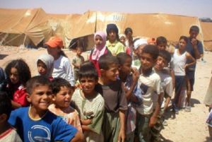 GoRiau 85 Pengungsi Palestina Meninggal Kelaparan