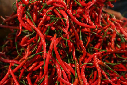 GoRiau Cabai Merah dan Beras Sumbang Inflasi di Pekanbaru