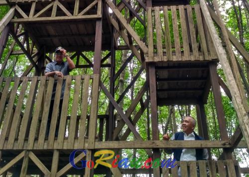 Pertama Kali Kunjungi Pantai Solop dan Mangrove Pulau Cawan Inhil, Gubernur Riau: Ini Luar Biasa