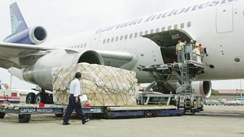 Pakai Layanan Garuda Indonesia Cargo juga Bisa Kirim Jenazah, Ini Syaratnya