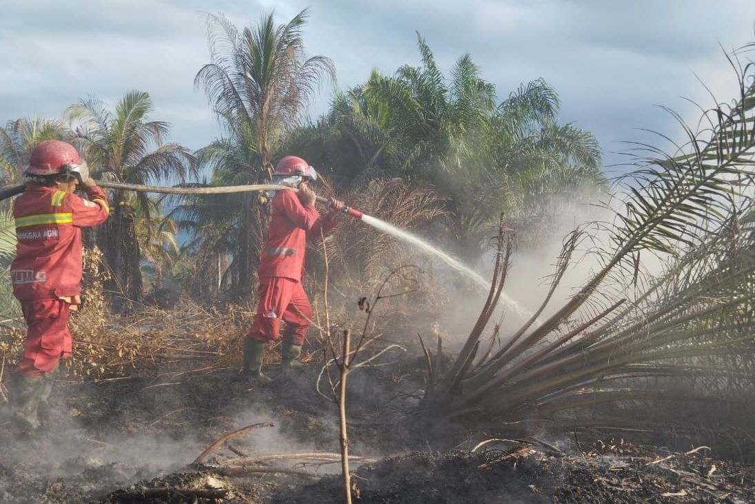 Hujan tak Mampu Padamkan Karhutla di Siak, Ferdian: Api Gambut Kandis Masih Aktif