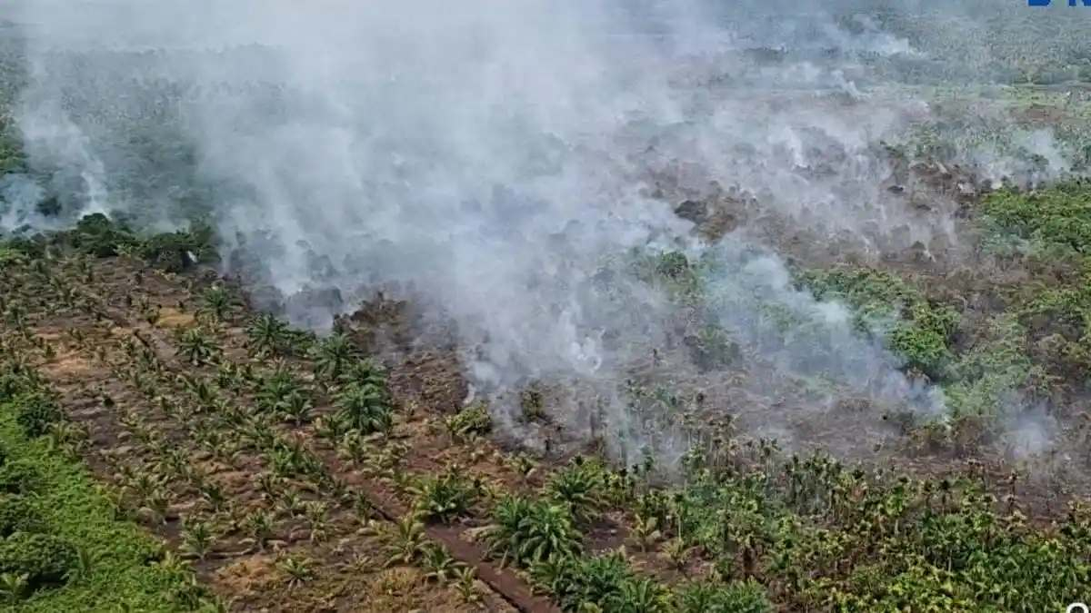 Drone Deteksi Area Terbakar Sangat Luas di Sokoi Pelalawan, Pasukan Manggala Agni Bergerak Dini Hari
