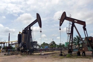 GoRiau Pemerintah Diminta Serahkan Pengelolaan Blok Rokan ke Pertamina