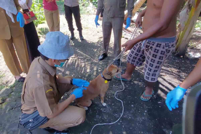 GoRiau Pemprov Riau Dapat Bantuan 3 Ribu Vaksin Rabies