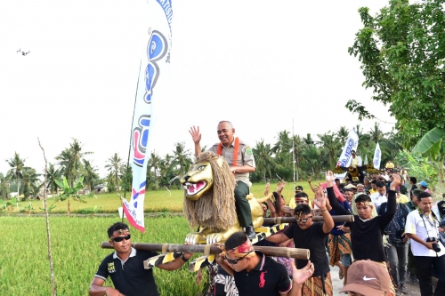 Naik Singa Depok, Gubernur Riau Diarak Masyarakat Kempas Inhil Sepanjang 1 Kilometer