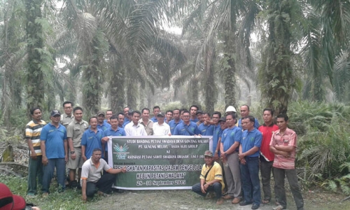 Asian Agri Bawa Petani Swadayanya Studi Banding ke Riau