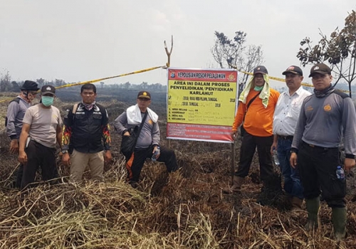 Terbakar 20 hektare, Polisi Akhirnya Segel Lahan di Pelalawan Termasuk PT LIH