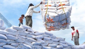 GoRiau Pengamat Penganjur Impor Beras Dituding Pendukung Mafia dan Khianati Petani