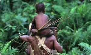 GoRiau Misteri Kematian Puluhan Balita di Papua, Tim Kemenkes: Penduduk Tinggal Menyatu dengan Babi dan Minum Air Mentah Tercemar