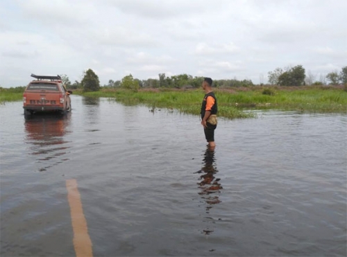 Banjir di Pelalawan Rendam Sejumlah Jalan, Bangunan Pesantren Ikut Tergenang