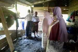 GoRiau Gajah Liar Rusak Rumah Abu Bakar Tengah Malam dan Curi 5 Karung Padi