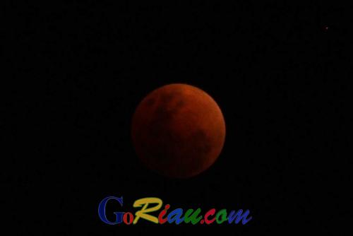 Bulan Kemerahan, Indahnya Penampakan Fenomena Super Blue Blood Moon di Pekanbaru