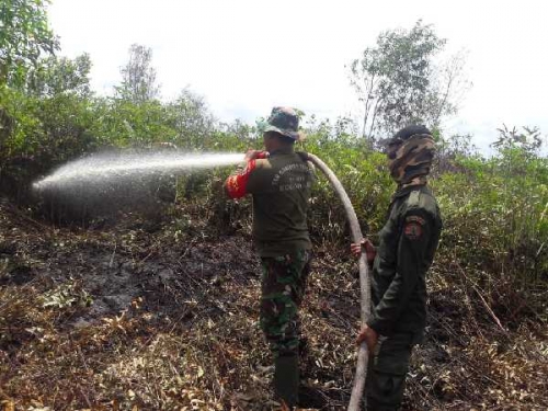 Satu Hektare Lahan Terbakar di Kota Dumai