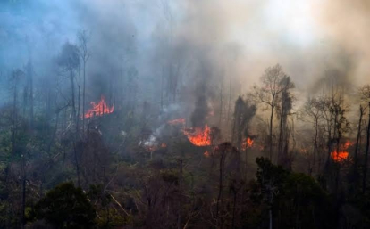 GoRiau Musim Kemarau, Warga Riau Diminta tidak Buka Lahan Secara Membakar